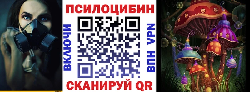 Галлюциногенные грибы Psilocybine cubensis Ардатов